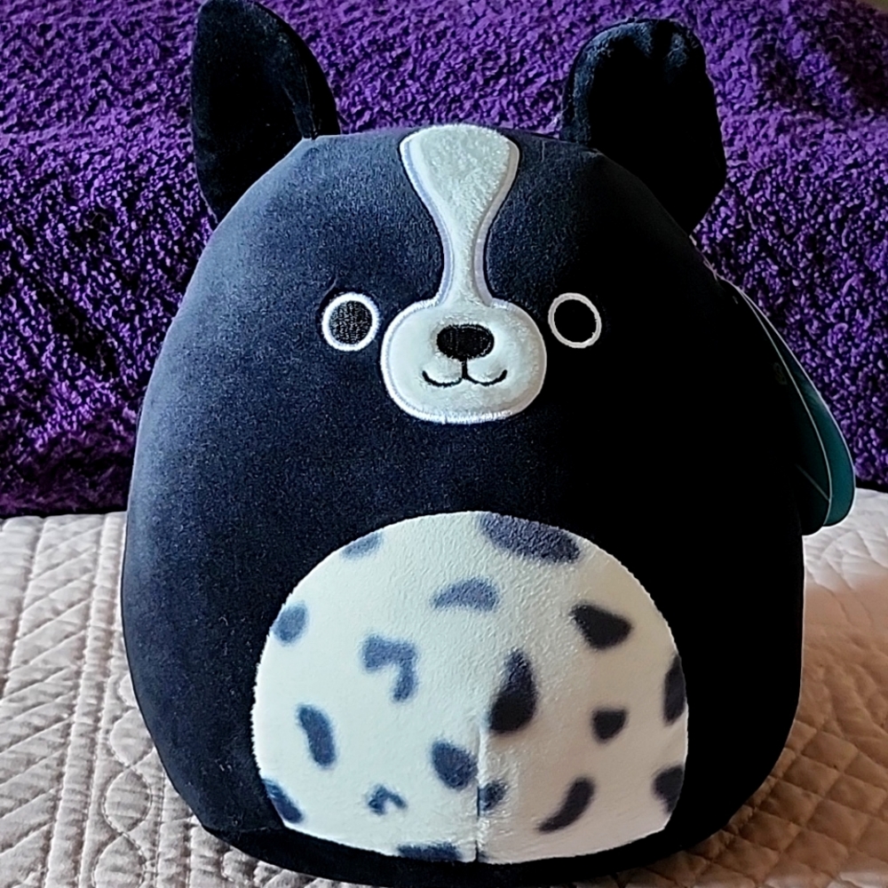 Nwt MONTY the Border Collie DOG Squishmallows 8" Black & White New!
